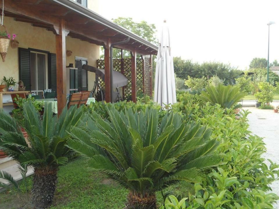 Bed and Breakfast Nenna Country Capua Exterior foto